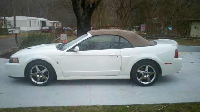 2003 Ford Mustang Cobra