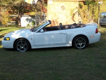 Mustang